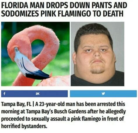 Florida Man Meme By Sdrxwildboy Memedroid Gambaran