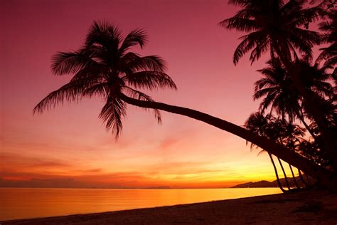 Collage Tropical Sunset Desktop Wallpapers