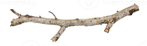 Tree Branch Stick 18971675 Png