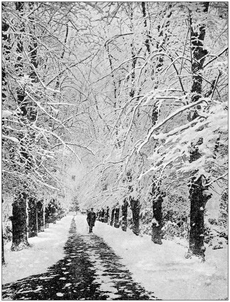 1400 Snow Falling Black And White Stock Illustrations Royalty Free