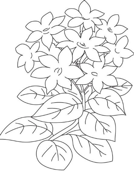 Sketsa ini juga di pakai untuk dapat memaparkan gagasan awal seperti. Gambar Taman Bunga Hitam Putih | Kata Kata
