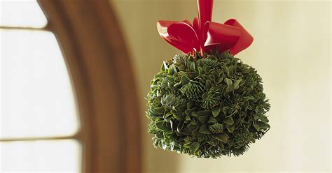 Christmas Traditions Explained Mistletoe