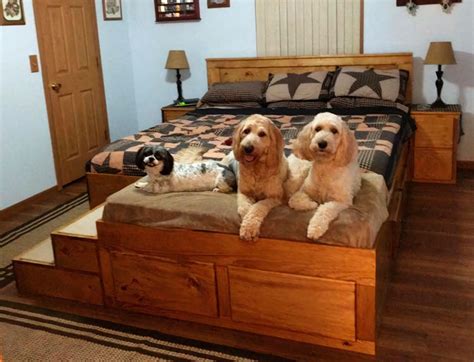 Company In Pennsylvania Makes Wooden Bed Frames With Built In Pet Beds