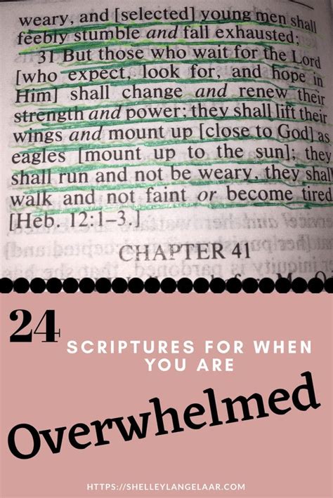 24 Bible Verses For When You Are Overwhelmed