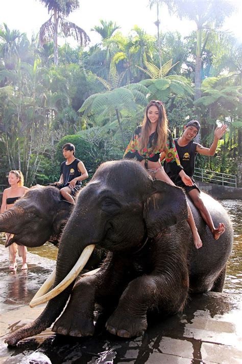 Swimming With Elephants In Bali Bali Elephants Indonesia Swimming