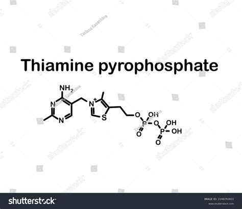 Chemical Formula Thiamine Pyrophosphate Vector Illustration Stock