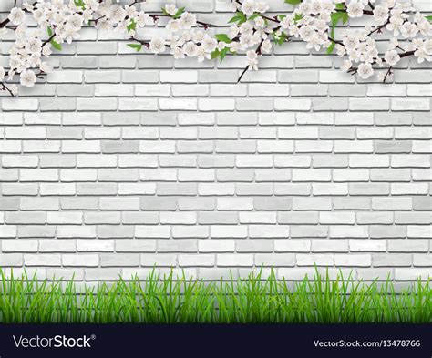Blooming Tree Branch On Brick Wall Background Vector Image