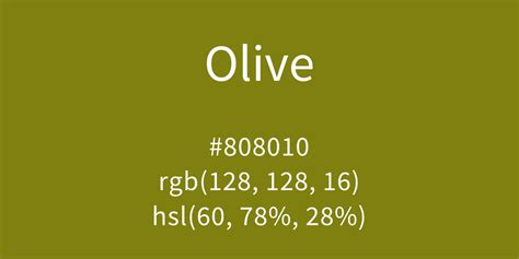Olive Color Code Is 808010
