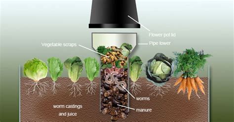 Place This Worm Tower In Your Garden And See It Grow