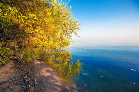 Beautiful Sea Coast In Autumn Stock Photo Image Of Blue Forest