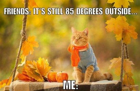 Totally Me Fall Humor Fall Memes Its Fall Fall Thanksgiving Cozy