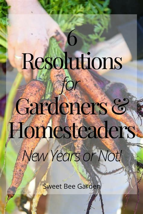 6 New Years Resolutions For The Gardener And Urban Homesteader New