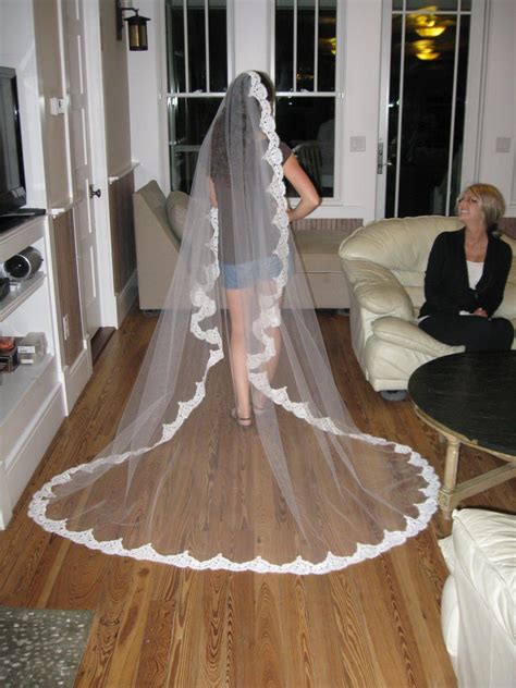 Tulle Lace And Two Sisters Diy Wedding Veil Veil Diy