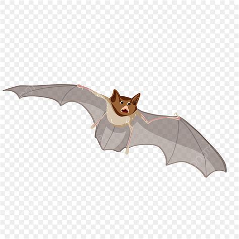 Predators Png Transparent Predator Bat Clip Art Big Bat Animal Clip