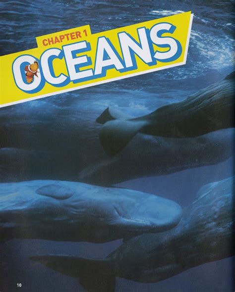 National Geographic Kids Ultimate Ocean Pedia Fat Brain Toys