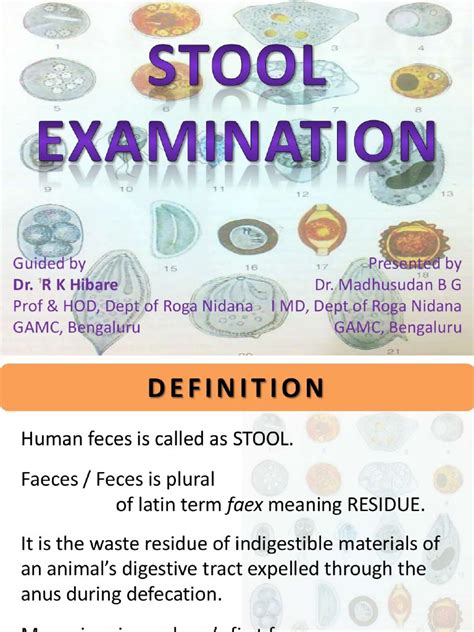 Stool Examination Pdf