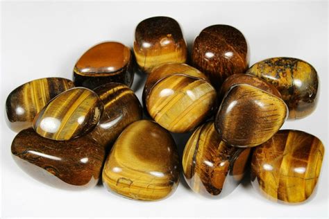 Large Tumbled Tiger S Eye Stones For Sale FossilEra Com