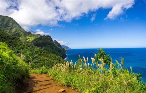 Kauai Wallpapers 4k Hd Kauai Backgrounds On Wallpaperbat