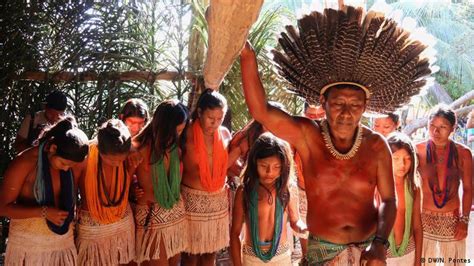 A Vida No Parque Indígena Do Xingu Veja Todo O Conteúdo Audiovisual