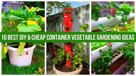 Cheap Garden Ideas Diy Dandelionsandnettles