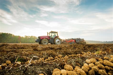 Mcdonalds Canada And Mccain Launch 1m Future Of Potato Farming Fund