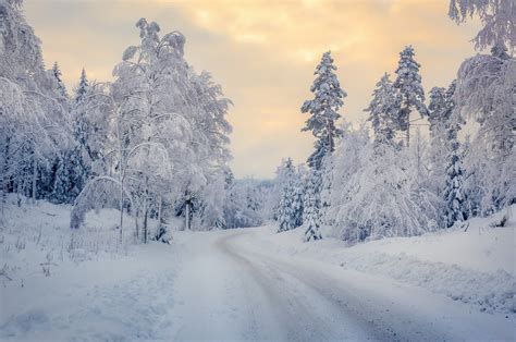 วอลเปเปอร์ หิมะ ฤดูหนาว แนวนอน ต้นไม้ 1920x1274 Wallpapermaniac