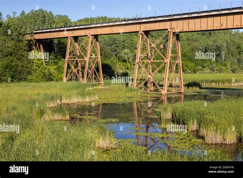 Railroad Trestle Bridge Over Swampy Creek Stock Photo Alamy