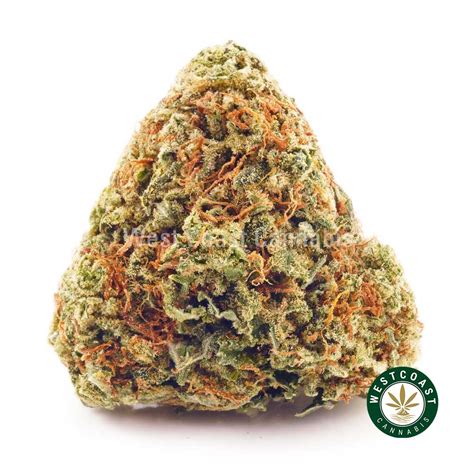 Buy Pineapple Haze Aaa Online West Coast Cannabis