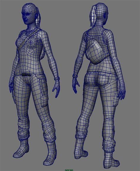 Wireframe D