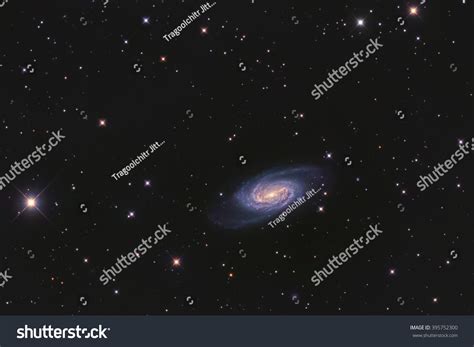 Real Barred Spiral Galaxy Ngc 2903 Stock Photo 395752300 Shutterstock