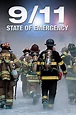 [HD] 11-S, Estado De emergencia 2010 Ver Película Completa Online
