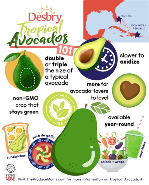 Tropical Avocados 101 How To Select Store Serve The Produce Moms