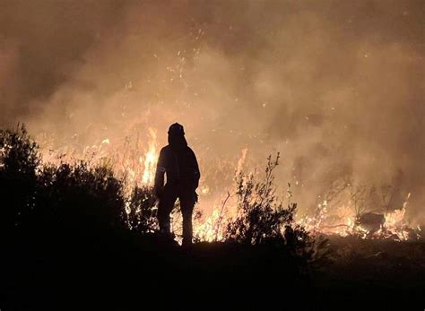 Kebakaran Hutan Di Spanyol Hanguskan Hektare Lahan