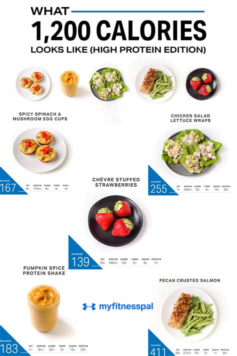 Low Calorie High Protein Meal Plan Best Culinary And Food