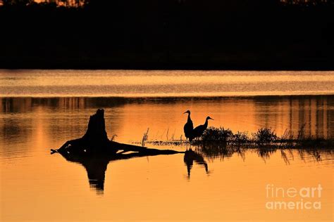 Sunrise Sandhills Photograph By Teresa Mcgill Fine Art America