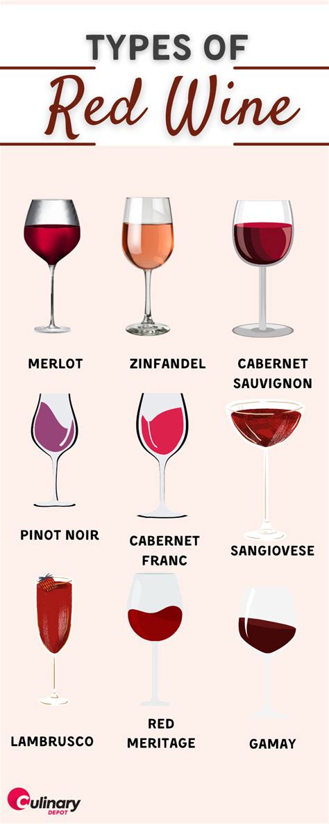 The Common Types Of Wine You Should Try Culinary Depot
