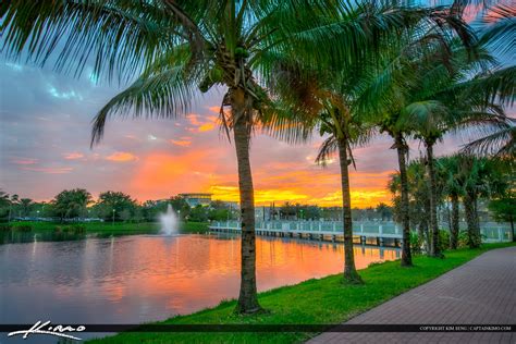 Coconut Trees Downtown At Palm Beach Gardens Florida Hdr