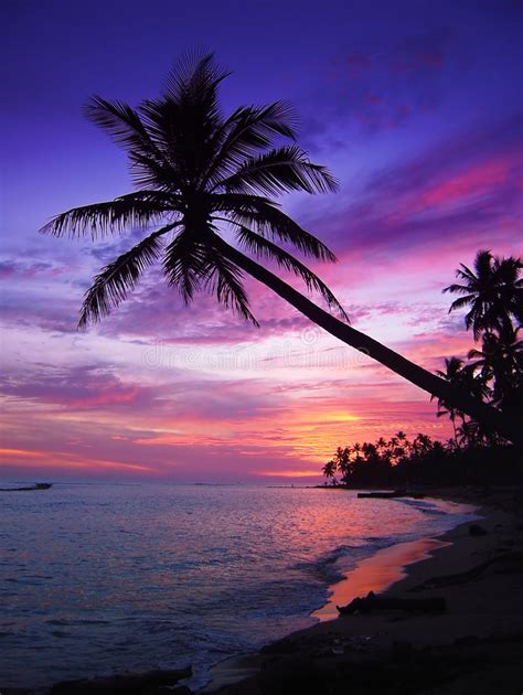 Beautiful Tropical Sunset Stock Image Image Of Outdoors 1293579