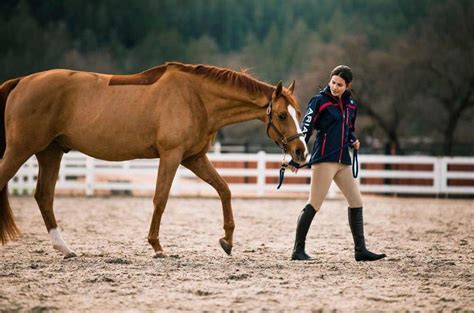 A Quick Guide To Essential Horse Riding Equipment