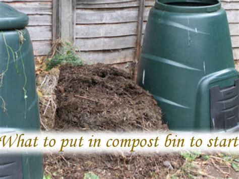 How To Start A Compost Bin