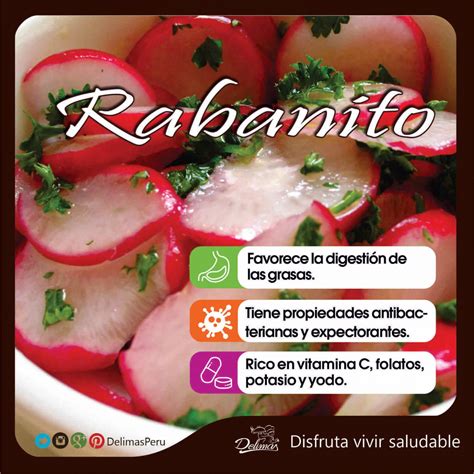 Rabanito Beneficios Ayuda A Una Mejor Digestión Blog Vive Sano