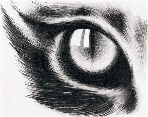 Eye Of A Cat By Hitforsa Cat Eyes Drawing Cat Eye Tattoos Eye Drawing