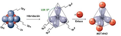 Hibridaciones Del Carbono Mis Clases De Quimica Cepac