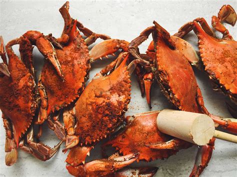How To Reheat Cooked Crabs Camerons Seafood