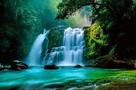 Forest Waterfall Forest Fall Quiet Grass Falling Greenery