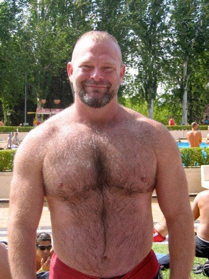 Hairy Chest Muscle Bear Men Bear Men Hairy Chest