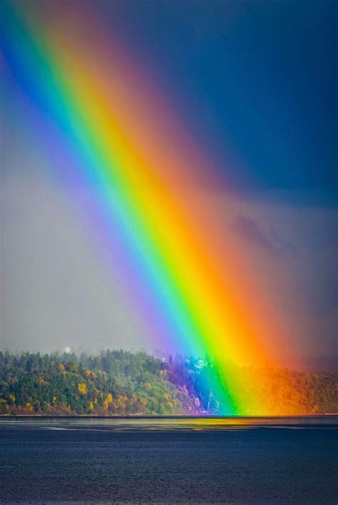 Rainbow Dreamy Nature