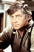 'The Waltons' Actor Ralph Waite Dead at 85 | Hollywood Reporter