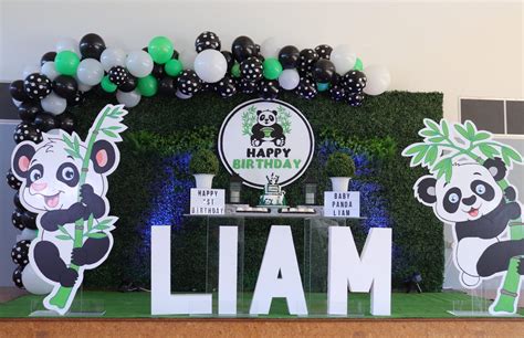 Baby Panda Theme Birthday Party For Kids Auckland Nz
