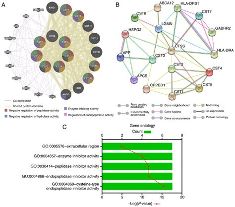 Gene Gene Protein Protein Interaction Networks And Gene Ontology Term Download Scientific
